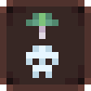Cordyceps